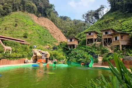 Alejandría + Selvatika